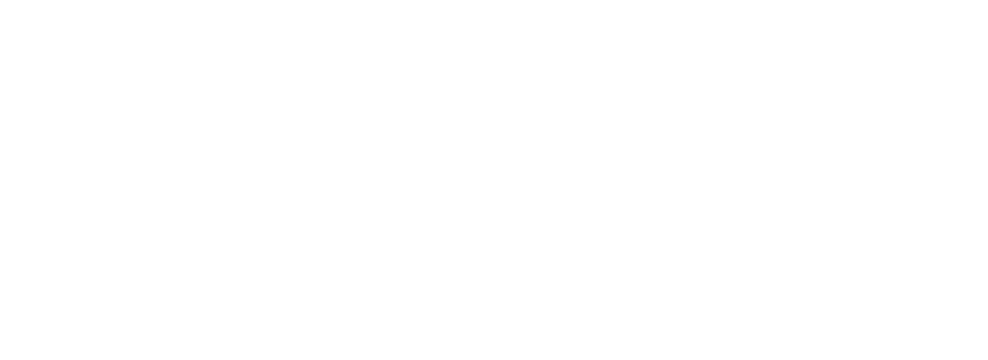 The Connection Network